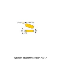 イスカル TAチップ TIP2P18ーNPTIC908(6403322 TIP2P18-NPTIC908 1セット(20個)（直送品）