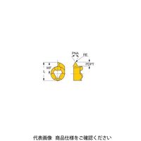 イスカル TAチップ GIQR11ーWTー0.05IC528(6402648 GIQR11-WT-0.05IC528 1セット(20個)（直送品）