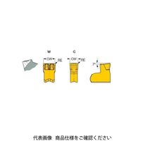 イスカル TAチップ TAGN4.8CIC808(6004487 TAGN4.8CIC808 1セット(10個)（直送品）