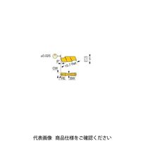 イスカル TAチップ GIPI6.35Eー0.55IC20 1セット(10個)（直送品）