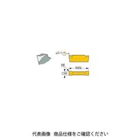 イスカル TAチップ HGN3002JIC830 1セット(10個)（直送品）