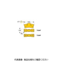 イスカル TAチップ TGMF402IC8250(6450104 TGMF402IC8250 1セット(20個)（直送品）