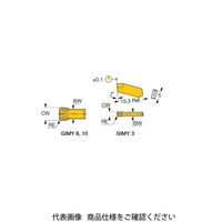 イスカル TAチップ GIMY304IC8250 1セット(10個)（直送品）