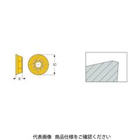 イスカル TAチップ REMT1505ーLMー76IC830 1セット(10個)（直送品）