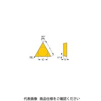 イスカル TAチップ TPMR110308ーPFIC8250(5508137 TPMR110308-PFIC8250 1セット(30個)（直送品）