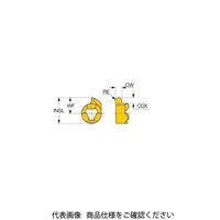 イスカル TAチップ GIQR8ー1.20ーR060IC528(6402478 GIQR8-1.20-R060IC528 1セット(20個)（直送品）