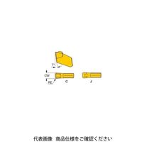 イスカル TAチップ GSFN2.4JIC908(6002841 GSFN2.4JIC908 1セット(20個)（直送品）