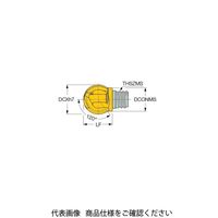 イスカル TAチップ MMHBR100ー2T05IC908(5621372 MMHBR100-2T05IC908 1セット(2個)（直送品）
