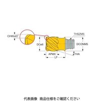 イスカル TAチップ MMEC100D07C01ー6T06903 1セット(2個)（直送品）