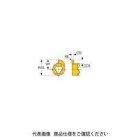 TAチップ GIQR11ー1.96ー0.10IC528(6402637 GIQR11-1.96-0.10IC528 1セット(20個)（直送品）
