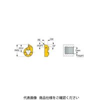 イスカル TAチップ GIQR11ーA18ー0.15IC528(6402680 GIQR11-A18-0.15IC528 1セット(20個)（直送品）