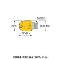 イスカル TAチップ MMHRF160ー2T10IC903 1セット(2個)（直送品）