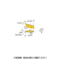 イスカル TAチップ GIP1.57ー0.79IC830(6405094 GIP1.57-0.79IC830 1セット(20個)（直送品）