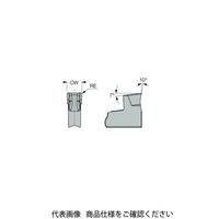 イスカル TAチップ TAGN4AIC20(6004438 TAGN4AIC20 1セット(20個)（直送品）