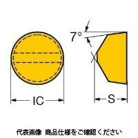 サンドビック TAチップ RCGX090700E6060 1セット(10個)（直送品）