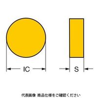 サンドビック TAチップ RNGN120700T010206060 1セット(10個)（直送品）