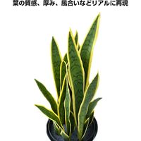 キシマ フェイクグリーン サンスベリア BK-7038（直送品）