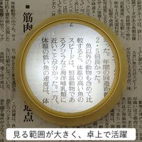 エバートラスト ライト付デスクドームルーペ DE408 1セット（2個）（直送品）