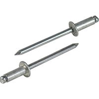 ロブテックス エビ ブラインドリベット(丸頭) エコパック入り NA63MP 1箱(20本入)