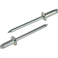 ロブテックス エビ ブラインドリベット(丸頭) エコパック入り NS66MP 1箱(30本入)