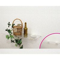 ハイロジック 壁掛収納 石膏ボード壁用 透明アクリル板シェルフ棚 58572 1個 00058572-001