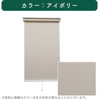【規格品】ロールスクリーン 幅90×高200cm（アイボリー） 4975559789163 1セット トーソー（直送品）