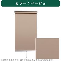 【規格品】ロールスクリーン 幅60×高180cm（ベージュ） 4975559789286 1セット トーソー（直送品）