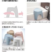 リッチェル アライス バススツール 風呂イス 30H ブラウン 2個セット 4945680301213（直送品）