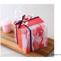 大森 ラッピング用品 ピュアケース PNN-100 ウェーブ 151010 200枚（直送品）