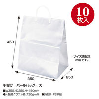 ササガワ 手提げ紙袋 パールB 大 35-5721 1袋（10枚入）
