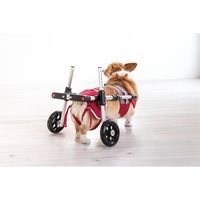 ドギーサポーターM + 専用ハーネス DGS-MH3RDT ピカコーポレイション（直送品）