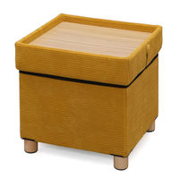 アイリスオーヤマ 脚付き収納スツール マスタード ASST-38（直送品）