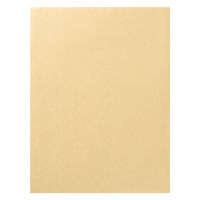 マルアイ 保存袋 角2対応 120G パック入 PH-12 1セット(20枚)