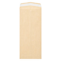 マルアイ 藤壺 長形封筒枠なし ライオン フ-11N 10袋(100枚:10枚入×10)