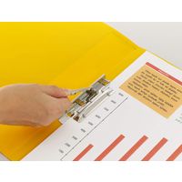 ライオン事務器 PPパームファイル PF-283 A4S型　赤　120枚収容  PF-283 緑 11602 2冊（直送品）