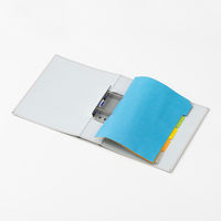 ライオン事務器 パイプ式F両開き環境No.763RK(LH) 11266 1冊