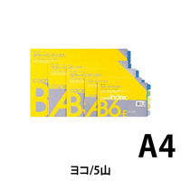 ライオン事務器 カラーインデックス CIー22 13683 1セット(3冊)