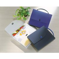 ライオン事務器 デザインケース PPシート製 A4判 DS-253(T) 12859 1個