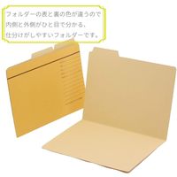 ライオン事務器 カットフォルダーA5ー3FーRー30P 13179 1パック