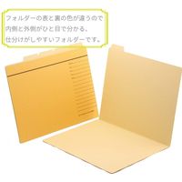 【アウトレット】ライオン事務器 カットフォルダーA4ー5FーRー20P 13177 1パック