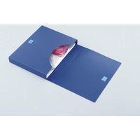 ライオン事務器 ハンドファイル HFー863 黒 12887 2冊