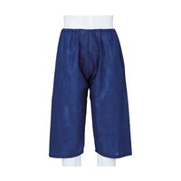 アズワン プロシェア・検診用ディスポパンツ(ロングタイプ) バックシール型 1枚×50袋入 PP-L 1箱(50枚) 7-7664-02（直送品）