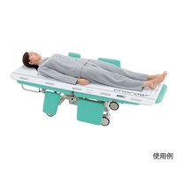 アズワン トランスファーボードスケール(検定付) MS7800 1個 7-8380-01（直送品）