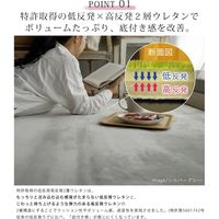 トシシミズ ナチュラルポスチュアー 低反発高反発フランネルラグ LM-101 円形 直径1400mm ブリタニーブルー 1枚（直送品）