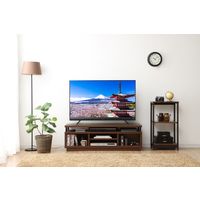 アイリスオーヤマ 4K対応液晶テレビ 49インチ 49UB20K（直送品）