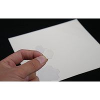 ホリコー イージーパッチ 6300003710 1シート(100枚)