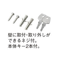 日本緑十字社 キーボックス(壁掛・携帯 兼用)60個吊 KB-60H 1台 61-9938-86（直送品）