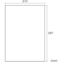 サンワサプライ はがせる耐水ホワイトフィルムラベル 再剥離 A4ノーカット 5枚 LB-EJF03N 1個（直送品）