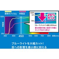 サンワサプライ Apple 第7世代iPad10.2インチ用ブルーライトカット液晶保護指紋防止光沢フィルム LCD-IPAD12BC 1枚