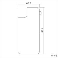 サンワサプライ Apple iPhone 11用背面保護指紋防止光沢フィルム PDA-FIPH19BS（直送品）